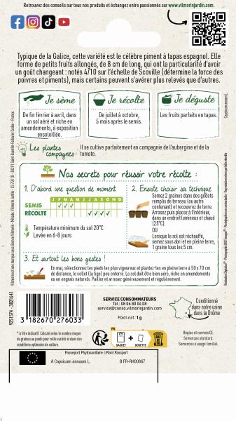 Potagères - Poivron Padrón - Cuisine du Monde - MEDIA_PACKAGING_VERSO